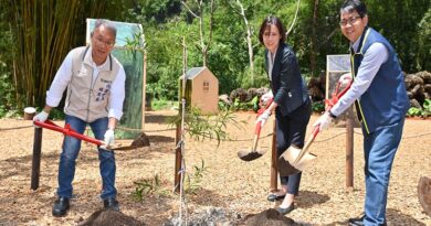 擁抱森林，守護未來—「綠博森生不息 Living Forest」喚醒人與自然的共生記憶